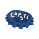 Capsyl.se